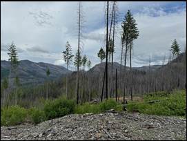 A picture containing outdoor, sky, tree, mountain

AI-generated content may be incorrect.